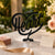 Heart Script — lifestyle