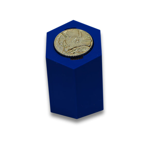 Coin Display Stand for Vintage 90's MMPR Collection