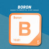 BORON Periodic Table Tile – Educational Wall Art for Science Lovers, 5.6 x 5.6 Inches