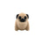 Baby Pug