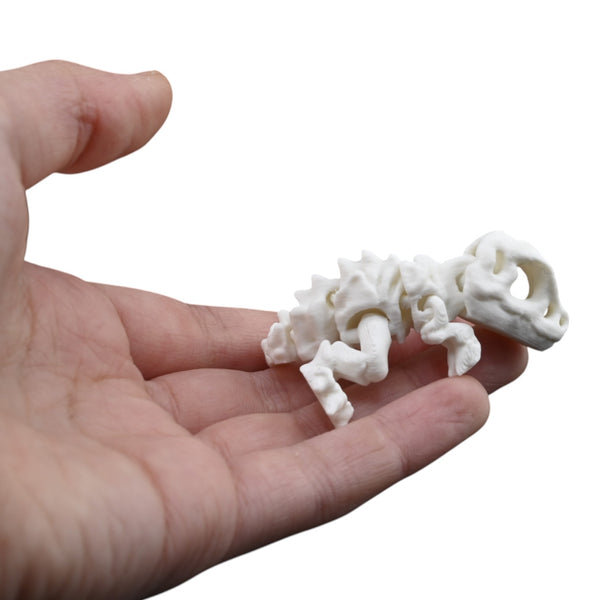 Tiny Skeleton T-Rex