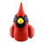 Cardinal Bird