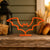 Bat [ORANGE] — lifestyle